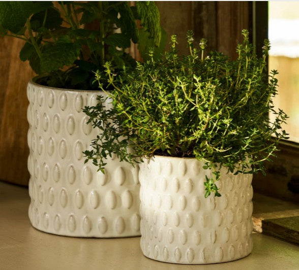 Blewbury Bobble Pot