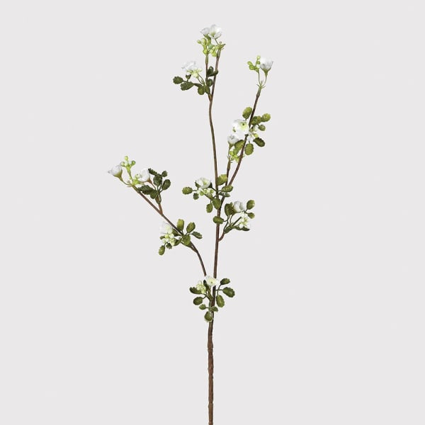 White Wax Flower Stem with Leaves