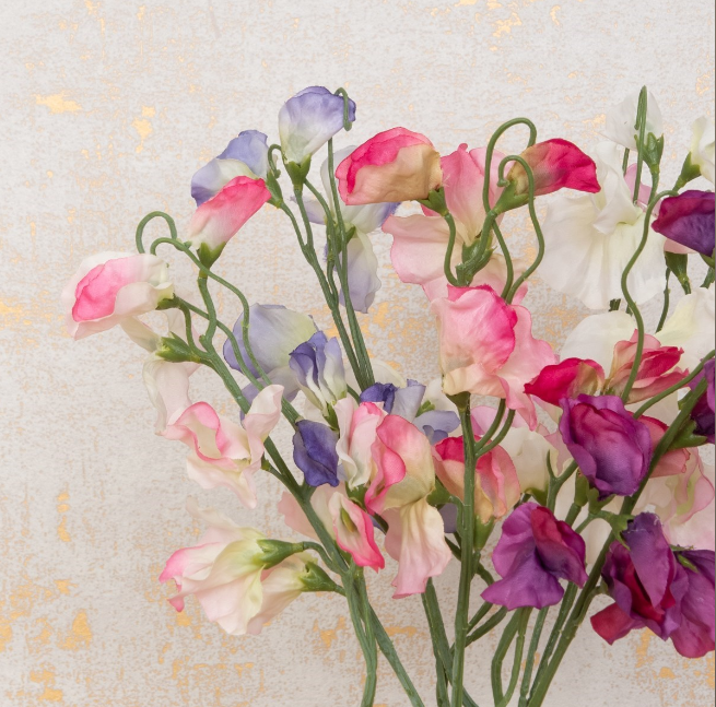 Sweet Pea Spray