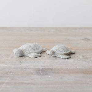 Porcelain Turtle