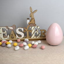 Load image into Gallery viewer, Ceramic Egg
