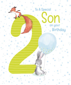 Son 2nd Birthday
