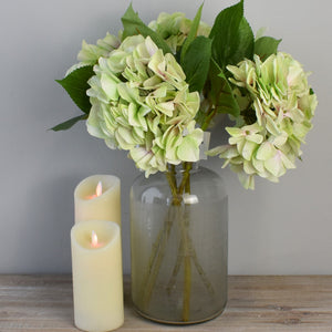 Soft Green Hydrangea