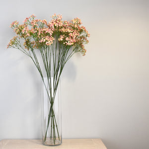 Pink Babys Breath