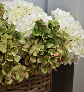 Hydrangea - Green